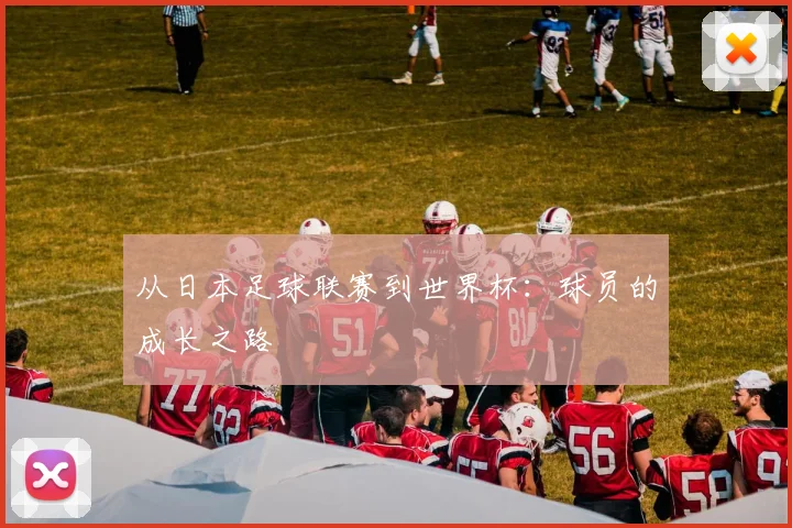 从日本足球联赛到世界杯：球员的成长之路
